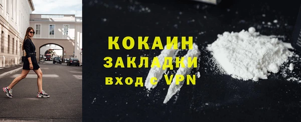 дживик Белокуриха