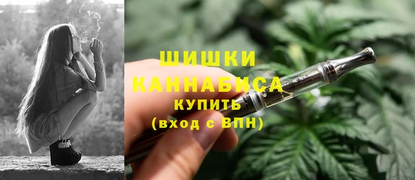 дживик Белокуриха