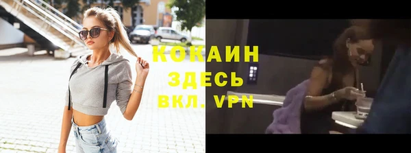 дживик Белокуриха