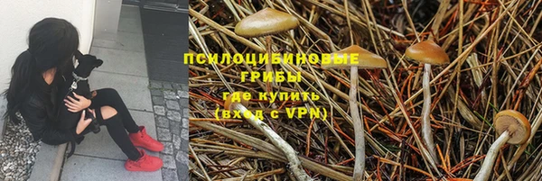mdpv Беломорск